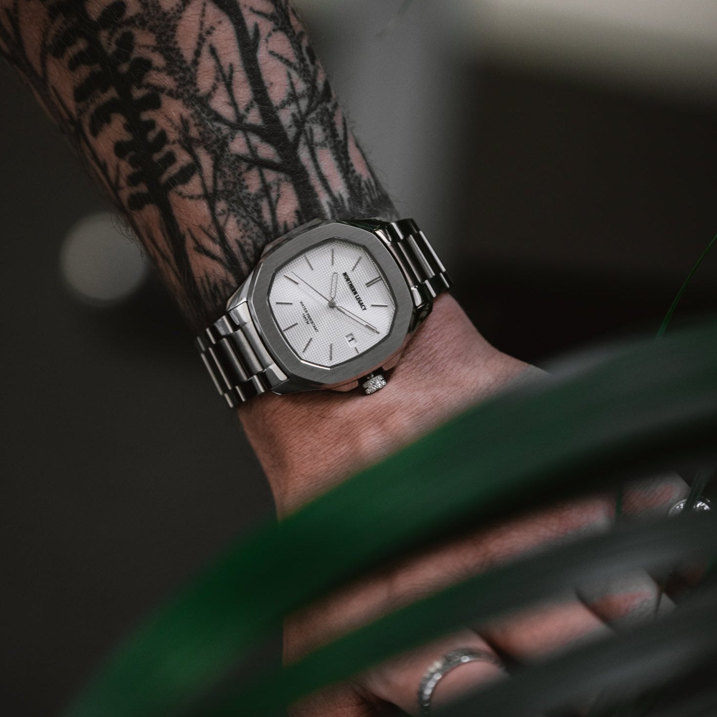 Fjord ur Hvid på arm med tatoveringer bag grønne blade