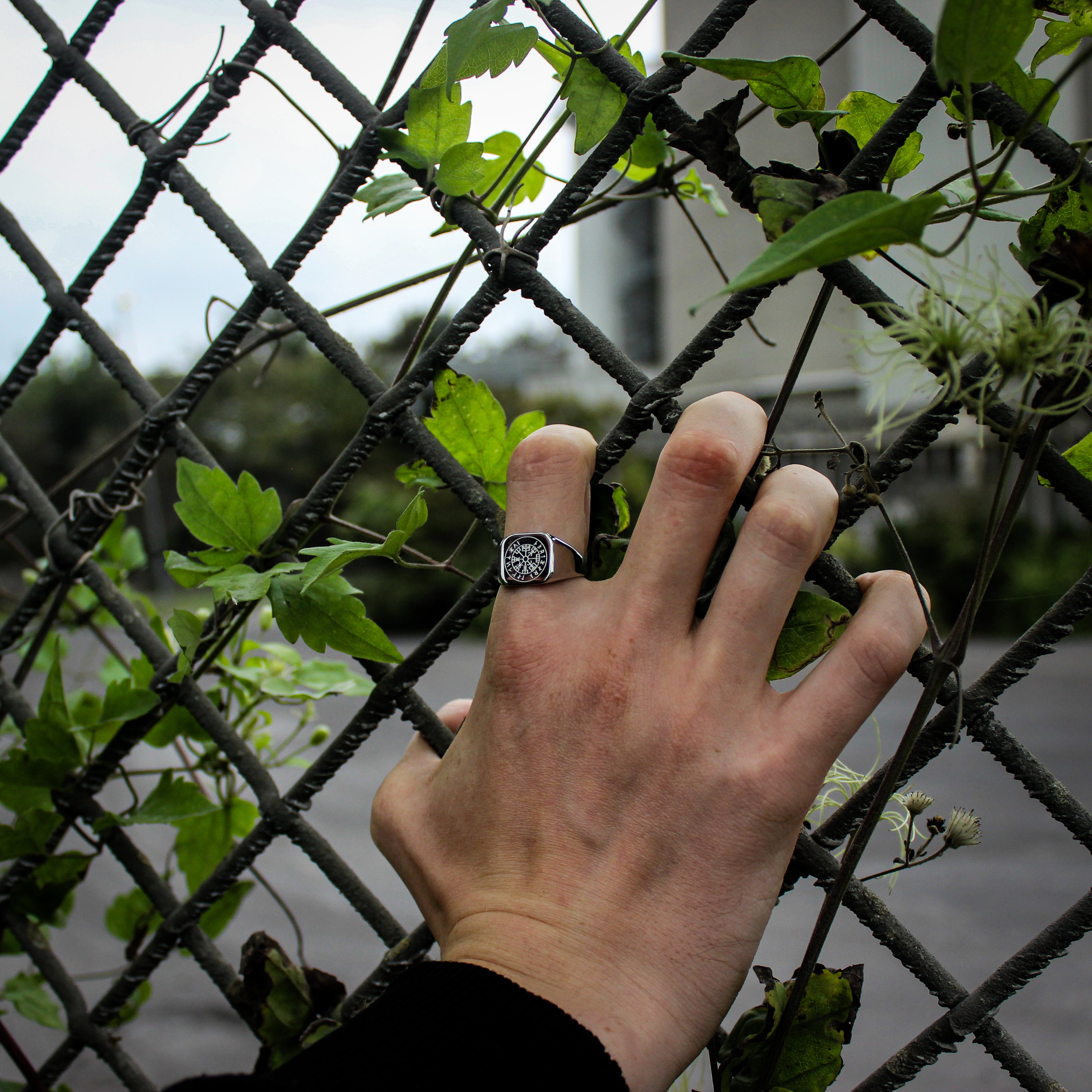 Vegvisir Signature - Silver-toned ring