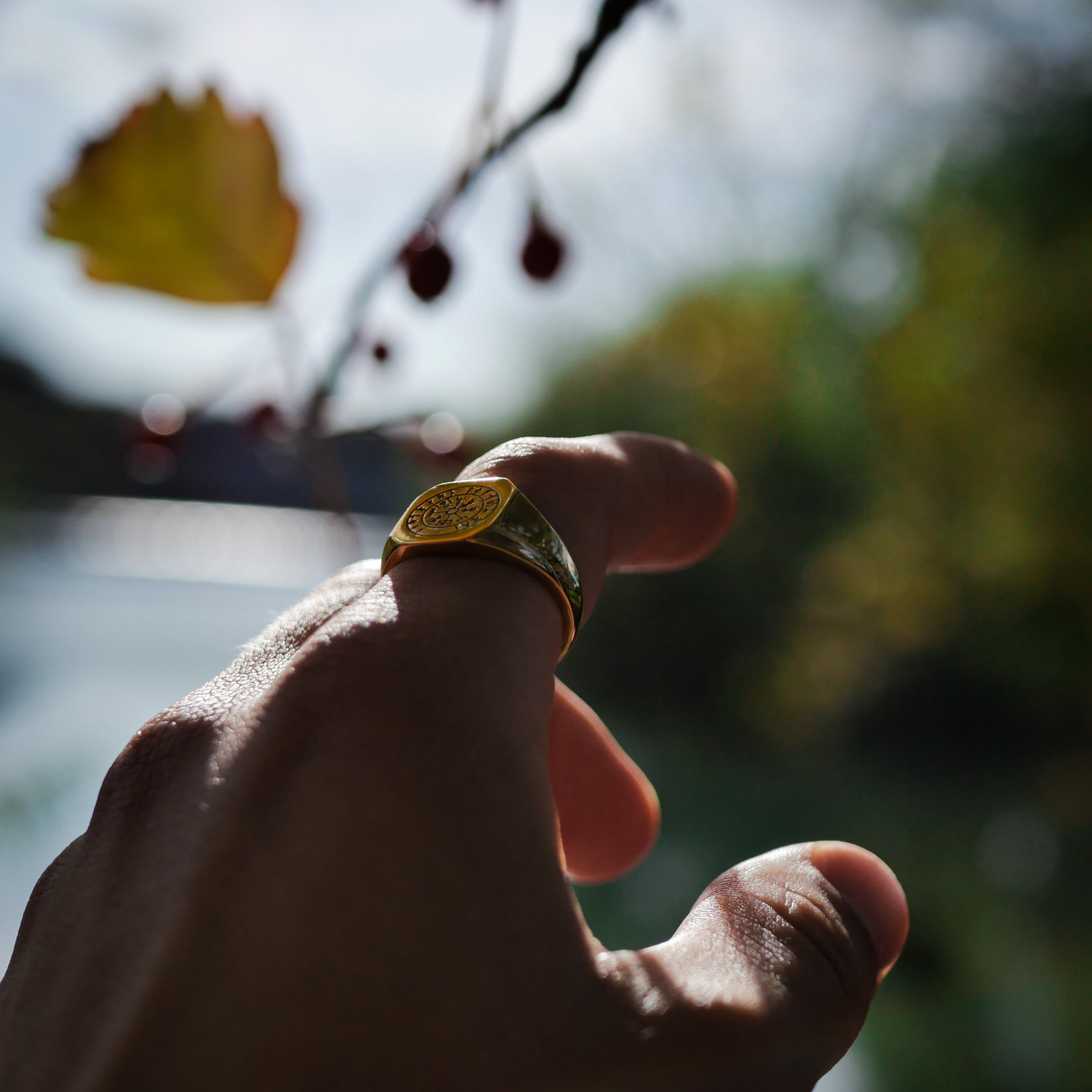 Vegvisir Signature - Gold-toned ring